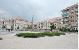 �츮Ƽ���ʽ�Ȩ ���� ���� �ǽ�