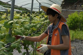 ��õ�������ڿ����缾�Ϳ� ���� ���̺���Ȱ�� �ǽ�